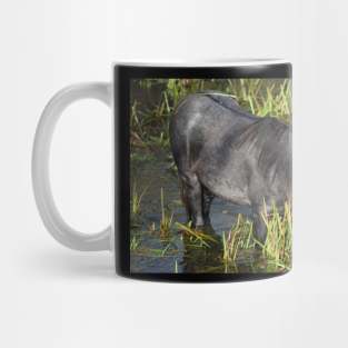 Wild Horse Mug